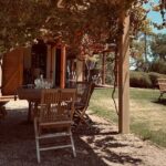 Wine Tasting and Lunch Private Tour in McLaren Vale - The Practicalities