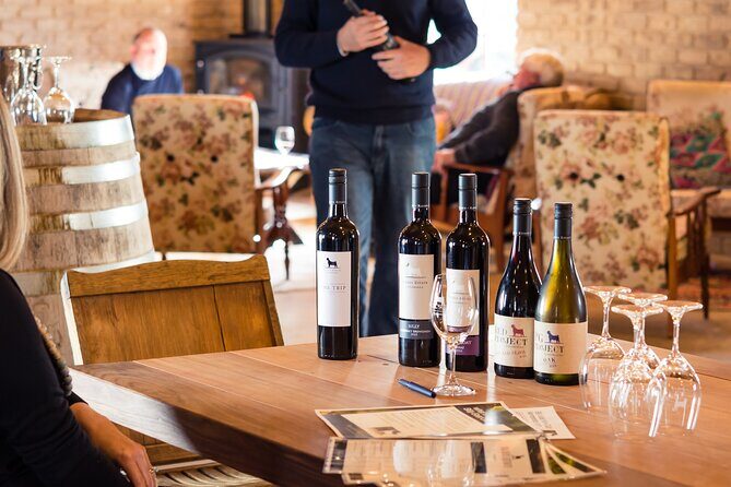 Wine Tasting at our Cellar Door in Penola - The Vineyard and Grounds
