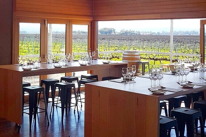 Wine Tasting Experience - Authentic Reviews: What Visitors Say