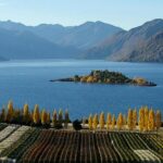 Wine Tour with Wine Tasting from Wanaka - Final Thoughts