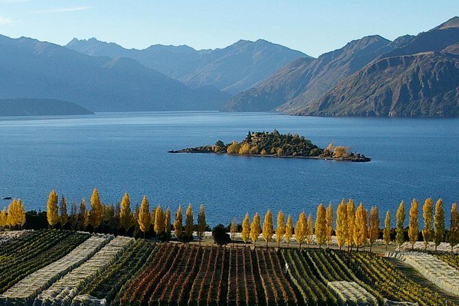 Wine Tour with Wine Tasting from Wanaka - Final Thoughts