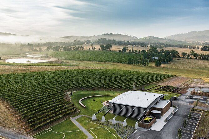 Winery Lunch by Helicopter to Levantine Hill in Yarra Valley - Who Would Love This Experience?