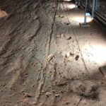 Winton: Dinosaur Stampede 3/4 Day Tour - Exploring the Itinerary in Detail