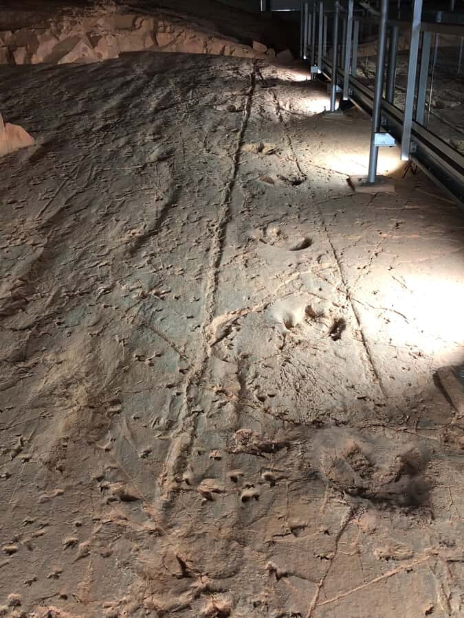 Winton: Dinosaur Stampede 3/4 Day Tour - Exploring the Itinerary in Detail