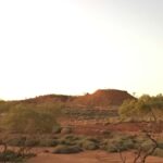 Winton: Dinosaur Stampede Half Day Tour - Dino Dash - Practical Details and Value