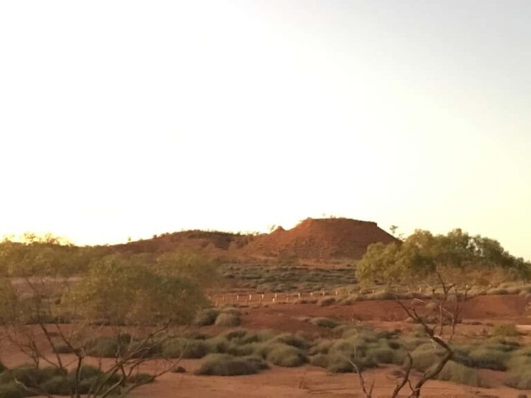 Winton: Dinosaur Stampede Half Day Tour - Dino Dash - Practical Details and Value