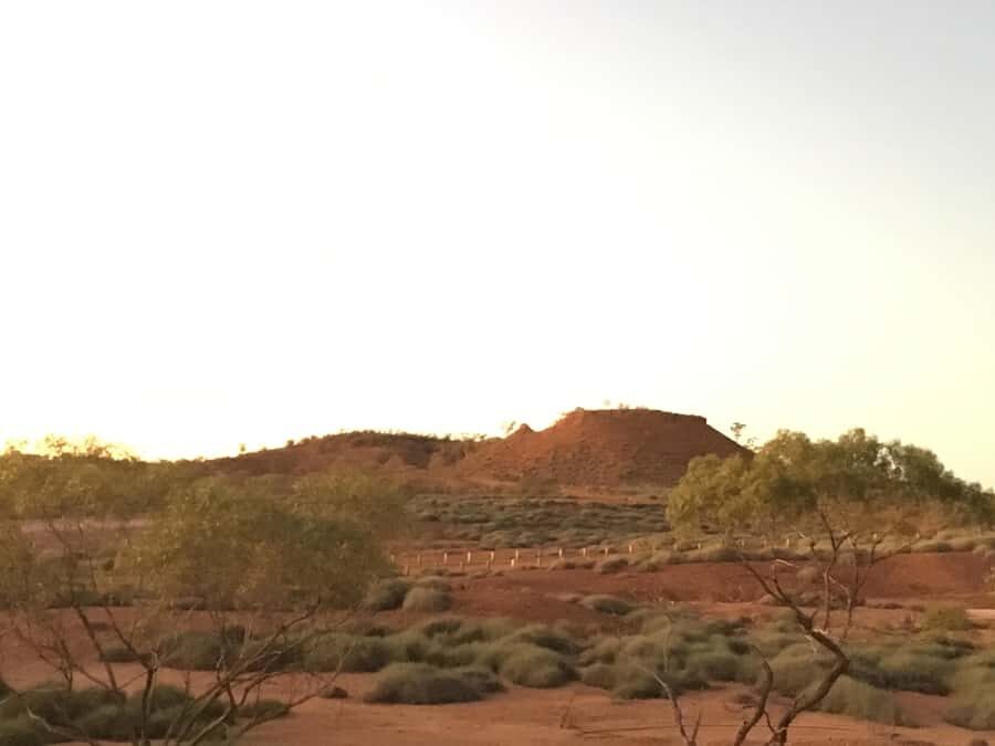 Winton: Dinosaur Stampede Half Day Tour - Dino Dash - Practical Details and Value