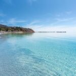 Wirrina Cove: Coastal Sightseeing Boat Tour with Seal Colony - An Authentic Coastal View with Wildlife Encounters