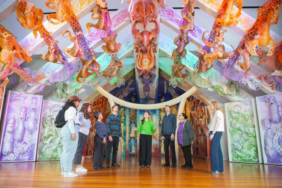 WLG: Museum of NZ Mori Highlights Tour & General Admission - Who Should Consider This Experience?