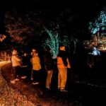 Wonderland by Night Norfolk Island - FAQs About Wonderland by Night Norfolk Island