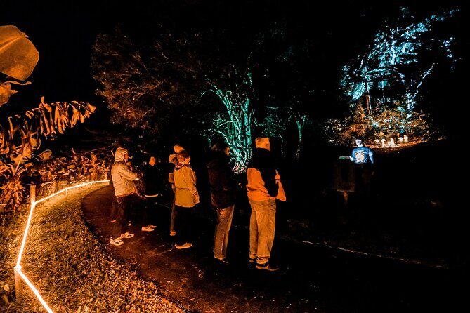 Wonderland by Night Norfolk Island - FAQs About Wonderland by Night Norfolk Island