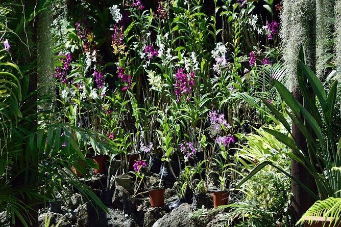 Wonders of Nadi Tour - Hindu Temple, Sleeping Giant Gardens, Markets & Shopping - Handicraft Markets and Duty-Free Shopping