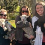 Wool Sheep Farm Experience with Handmade Wool Hat in New Zealand - What to Expect: A Closer Look