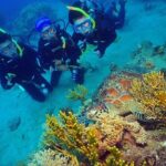 Wunyami Cultural Tour on Green Island's Eco Adventure - Why This Tour Offers Value for Money