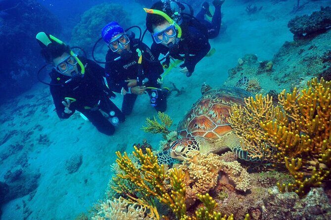 Wunyami Cultural Tour on Green Island's Eco Adventure - Why This Tour Offers Value for Money