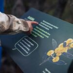 Yallingup: Ngilgi Cave Ancient Lands Experience - Practical Tips for Visitors