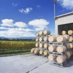 Yarra Valley: Bus Wine Tour with Lunch and a Glass of Wine - Who Will Enjoy This Tour?