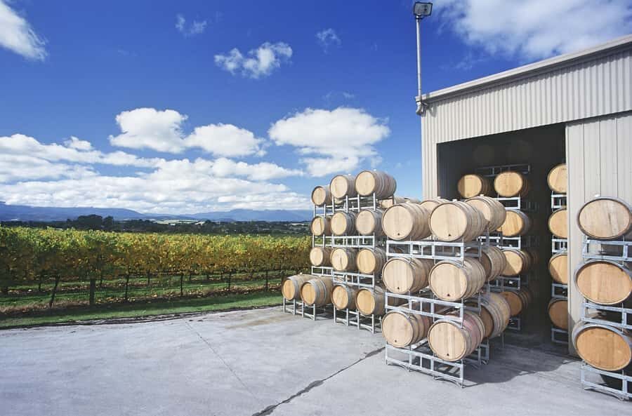 Yarra Valley: Bus Wine Tour with Lunch and a Glass of Wine - Who Will Enjoy This Tour?