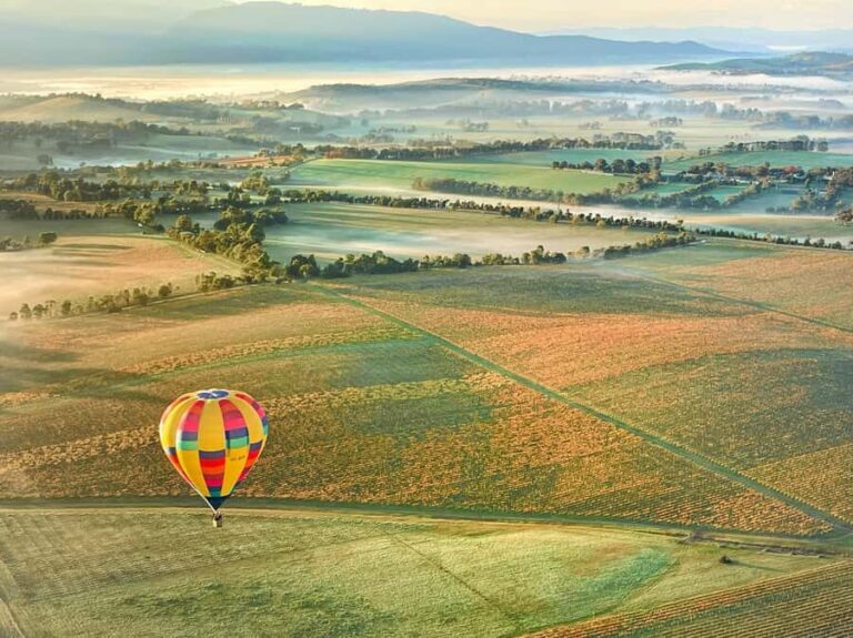 Yarra Valley: Hot Air Balloon Flight & Buffet Breakfast - The Experience: What to Expect from Start to Finish