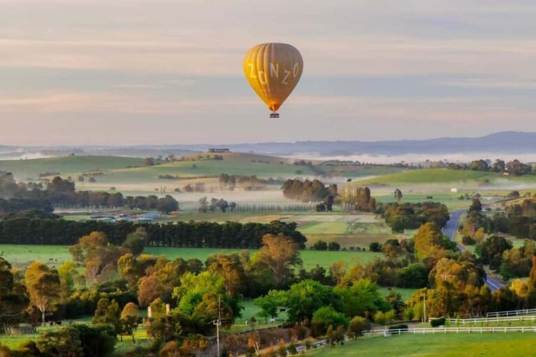 Yarra Valley: Hot Air Balloon with Breakfast & CBD Transfers - What’s Included & Considerations
