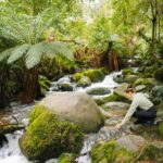 Yarra Valley: Redwood Forest Mountain Bike Adventure - Practical Details & Tips