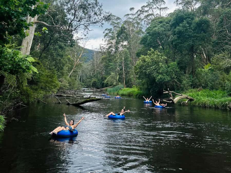 Yarra Valley: Self-Guided River Tubing Adventure - Authentic Experiences and Real Feedback