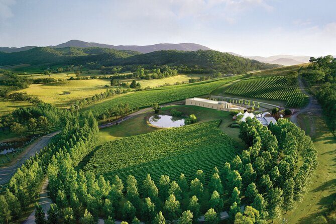 Yarra Valley Wineries Private Day Tour - The Comfort and Convenience of a Private Tour