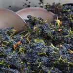 Yarra Valley: Winery Tour with Lunch at Yering Station - Who This Tour Is Best For