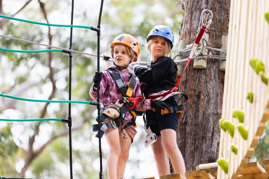Yeodene: Junior Tree Ropes Course - Who Would Enjoy This Experience?