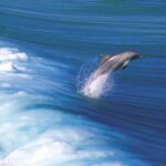 Yorke Peninsula: 3-Day Coastal Wilderness Tour from Adelaide - What Makes This Tour Stand Out?