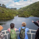 Zealandia by Day Tour - The Value & Practicalities