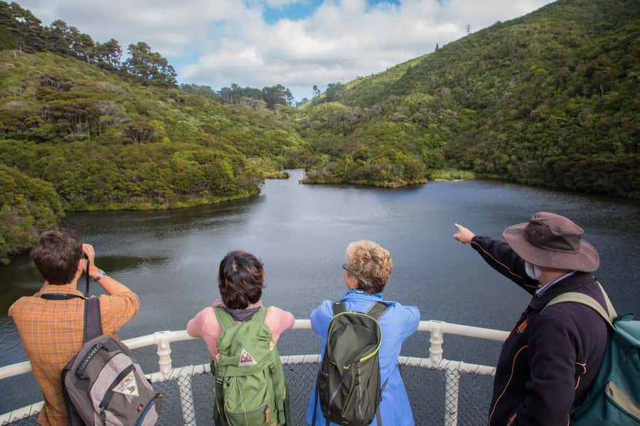 Zealandia by Day Tour - The Value & Practicalities