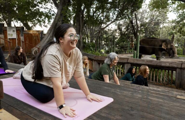 Zen In The Zoo - The Experience: Why It Matters