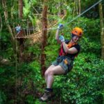 Ziplining Cape Tribulation with Treetops Adventures - The Highlights: Why It Stands Out