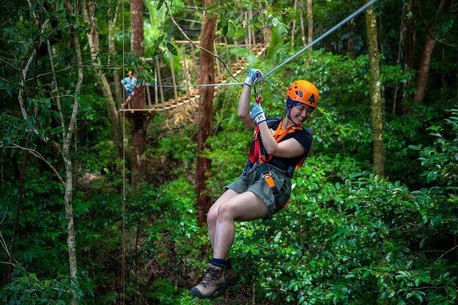 Ziplining Cape Tribulation with Treetops Adventures - The Highlights: Why It Stands Out