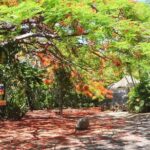 Zoological and Forestry Park Admission Ticket - What to Expect During Your Visit