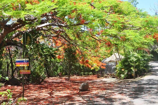 Zoological and Forestry Park Admission Ticket - What to Expect During Your Visit